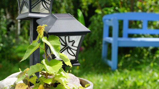 Un jardin avec un banc bleu et des lanternes décoratives.