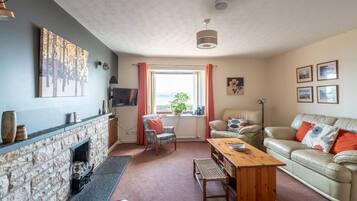 Fernseher, Kamin, DVD-Player, Bücher