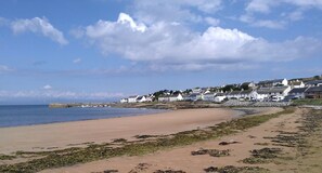 A coastal beach with a sandy shore, seaweed, and a row of white houses with a clear sky and clouds.