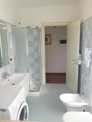 Shower, hair dryer, bidet, towels