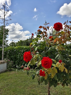 Exterior detail - In Green Della Collina Abruzzo to two steps from the sea (N°125)