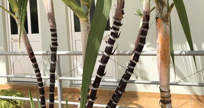 Guest House Terezinha