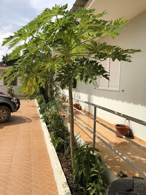 Balcony - Guest House Terezinha (Luanda)