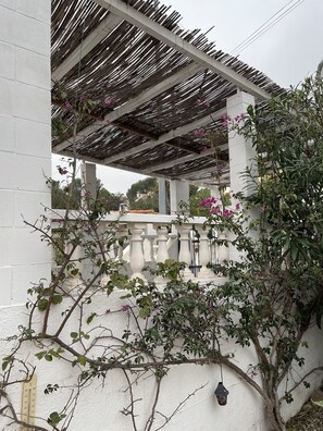 Property grounds - Villa with private swimming pool, very quiet location, beach 6 km, town 4 km (la font d'en carros)