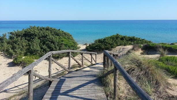 A wooden boardwalk leading to a beach with clear blue water and green vegetation.