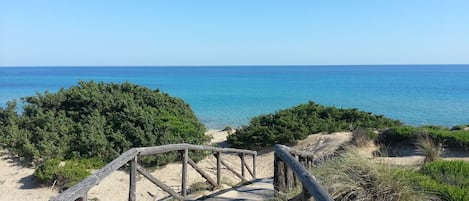 Vlak bij het strand