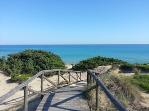 Un paseo marítimo de madera que conduce a una playa con agua azul cristalina y vegetación verde.
