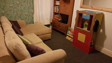 電視、DVD 播放機、書籍、影像庫