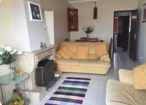 Smart TV, chimenea, reproductor de DVD y libros 