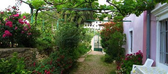 Cozy apartment for two with a pet-friendly environment