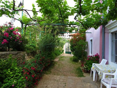 Cozy apartment for two with a pet-friendly environment