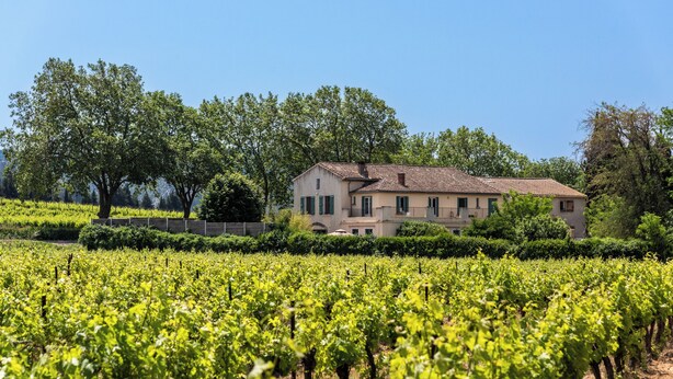 A vineyard with rows of grapevines and a large building with a tiled roof in the background. - Character gite with swimming pool, surrounded by vineyards, 30 min drive from the Mediterranean coast. (Fabrezan)