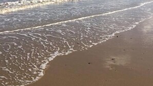 A beach with waves gently lapping onto the shore, clear skies, and distant rocky outcrops. - 5* Light & Airy Chalet 5min walk 2 beach nr BroadsSunbeach Chalets 143 a contemp (Great Yarmouth)