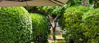 Swimming Pool Oasis Next To Downtown