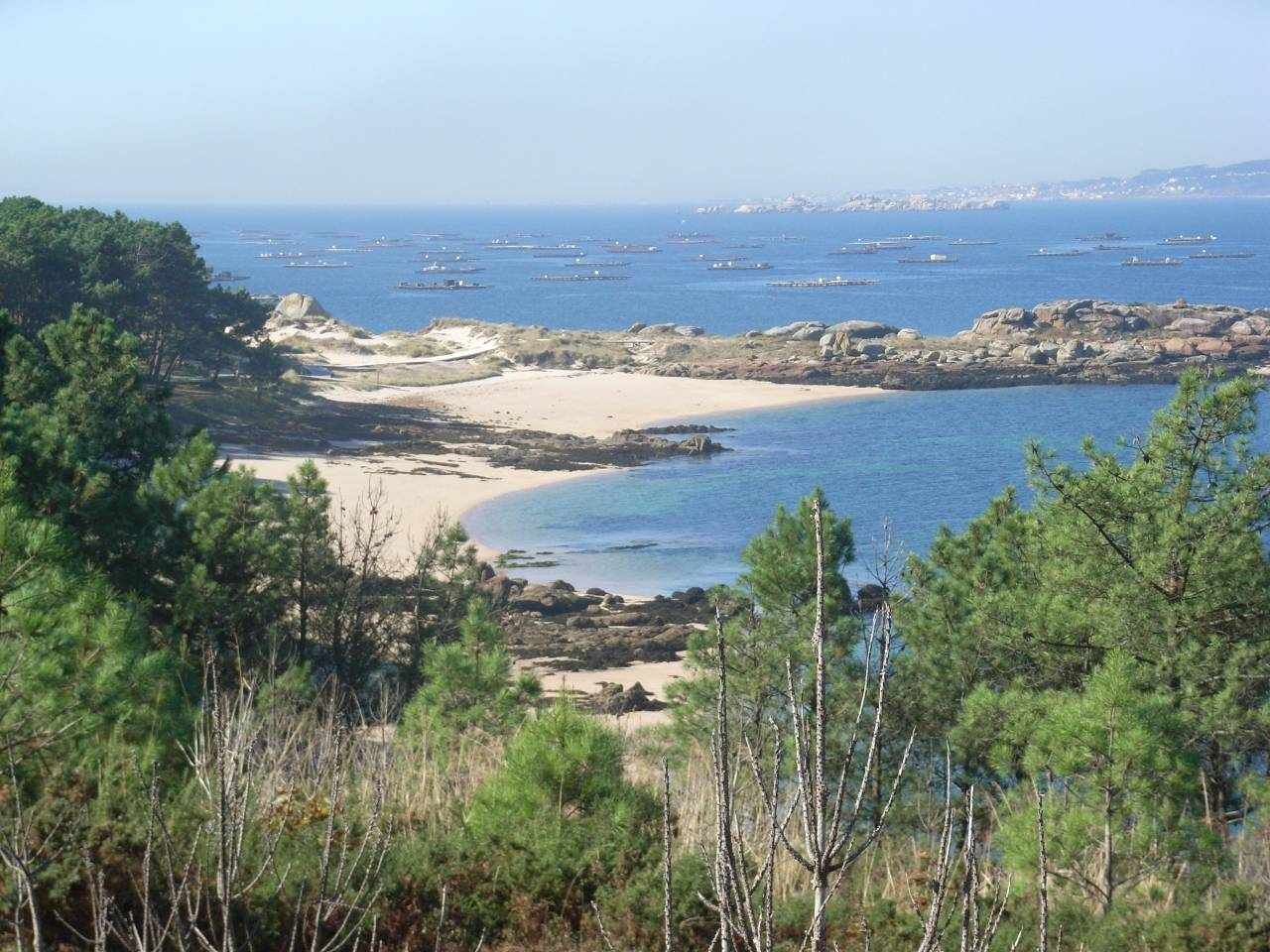 Ranta