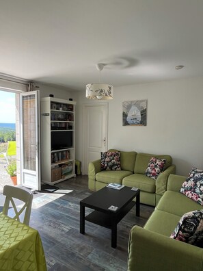 TV, DVD player, books, video library