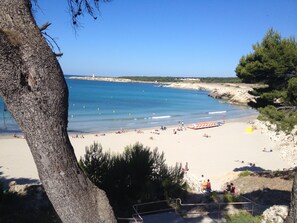 Playa en los alrededores 