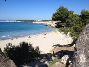 Playa en los alrededores 