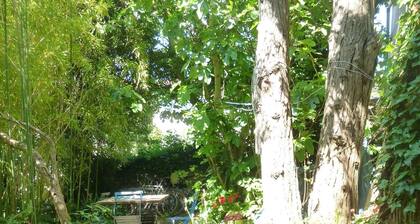 300m from the beach, large charming house with wooded garden and flowered courtyard
