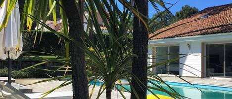 Una piscina al aire libre, una piscina climatizada
