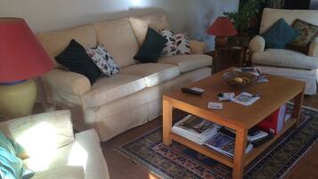 Fernseher, DVD-Player, Bücher, Videothek