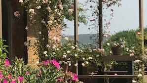 Un jardin agrémenté de fleurs roses et d’une pergola.
