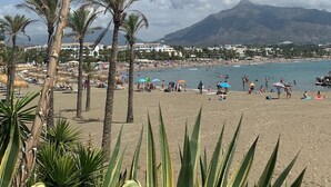 A beach with palm trees, a mountain in the background, and a clear sky.