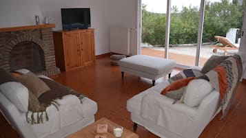 Televisor, llar de foc, videojocs i llibres