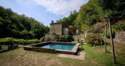 Ancient mill in the "green hearth" of Tuscany