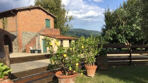 A rustic building with a brick facade, a green door, and a small porch. There are potted plants with yellow flowers in the foreground. - Holiday home in the Florentine Chianti area (Reggello)