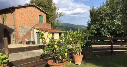 Holiday home in the Florentine Chianti area