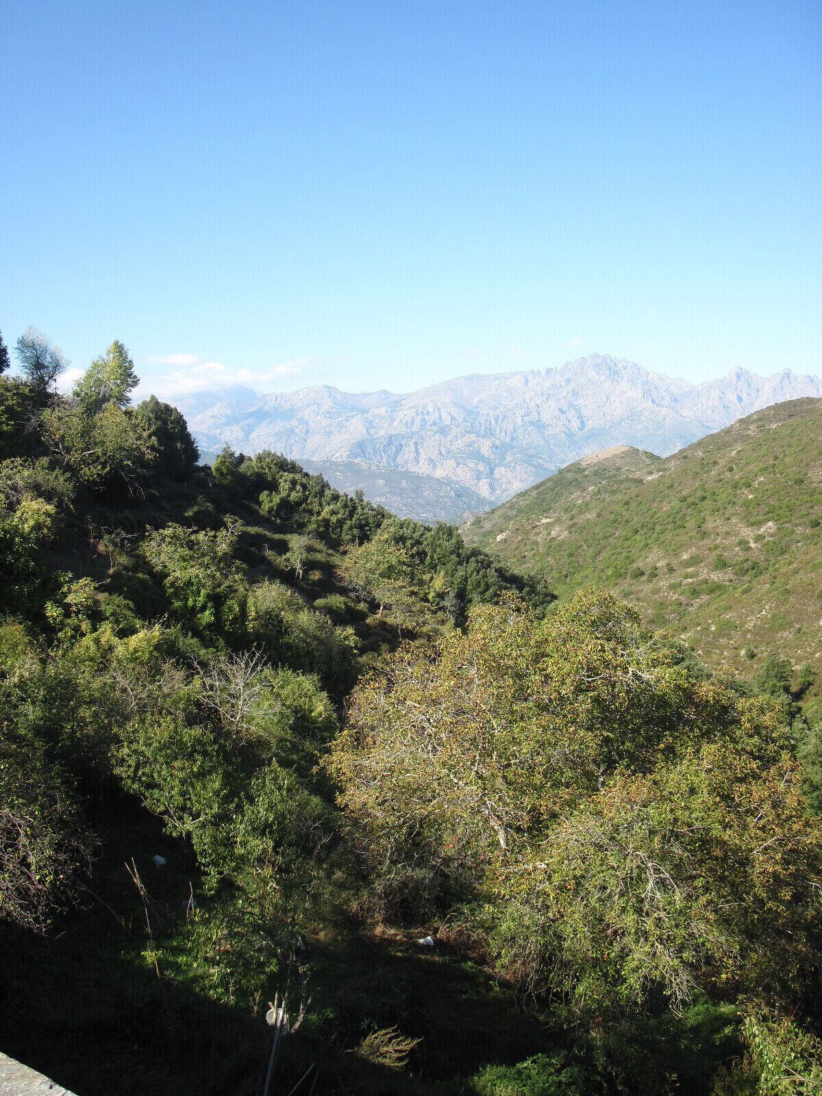 A mountainous landscape with dense vegetation and a clear sky.