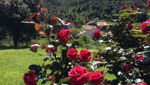 A garden with red roses and a view of a village with houses and mountains in the background.