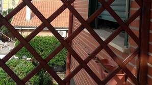 Vista a través de una ventana de celosía metálica con un toldo azul y blanco a rayas.