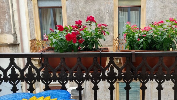 A balcony with potted plants and a metal railing. - APARTMENT IN THE HISTORICAL CENTER OF CATANIA (CATANIA)