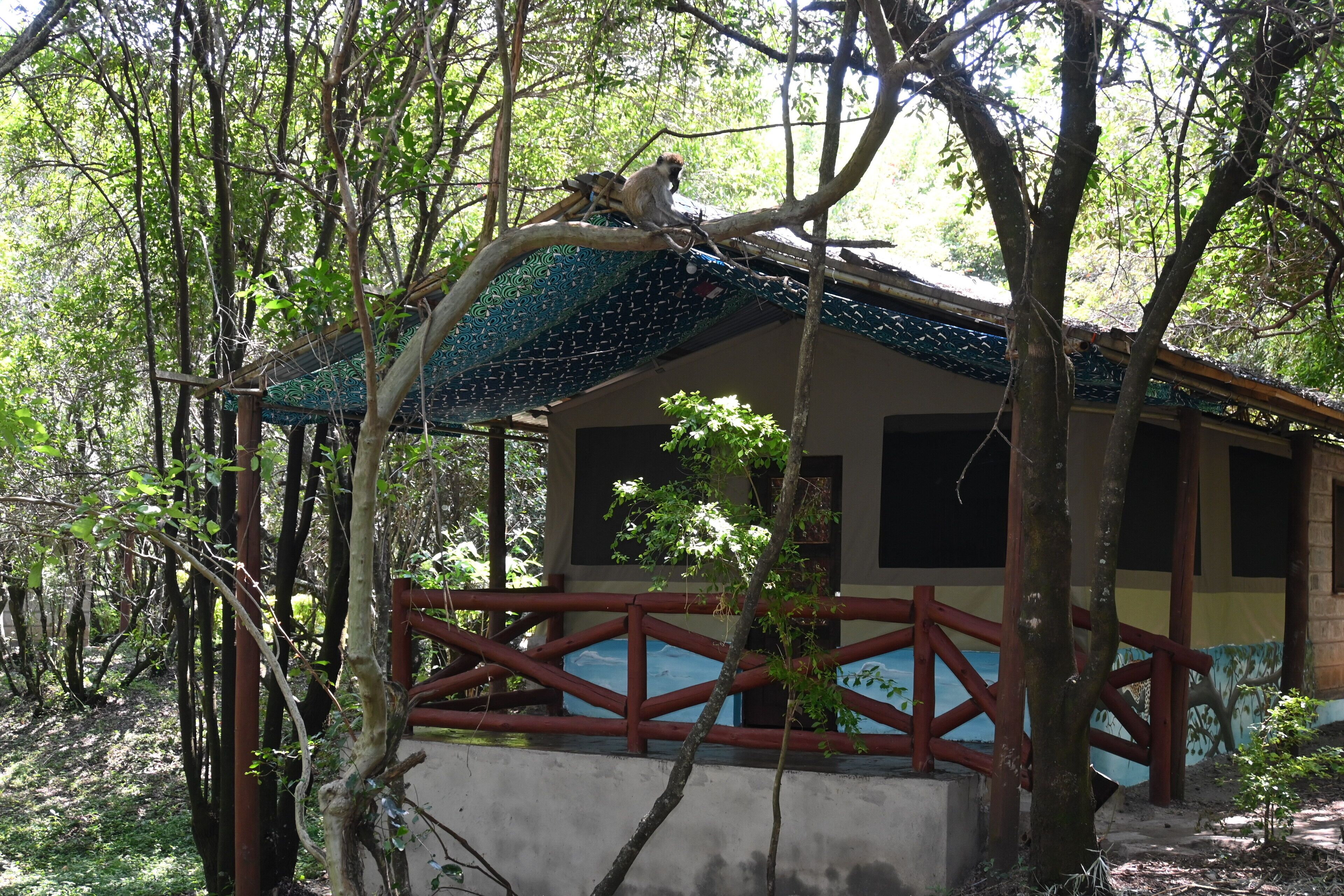 Standard Twin Room | Terrace/patio