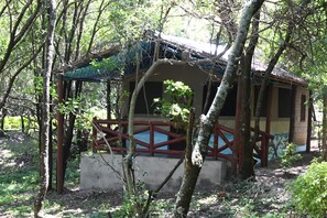 Standard Twin Room | Terrace/patio