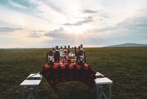Picnic med ternet dug, flasker, glas og en lygte på en græsplæne med et fjernt beliggende bjerg under en skyet himmel.
