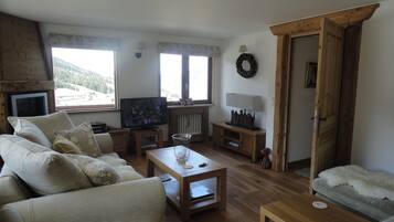 TV, fireplace, DVD player