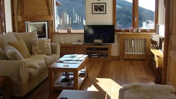 Televisión, chimenea y reproductor de DVD