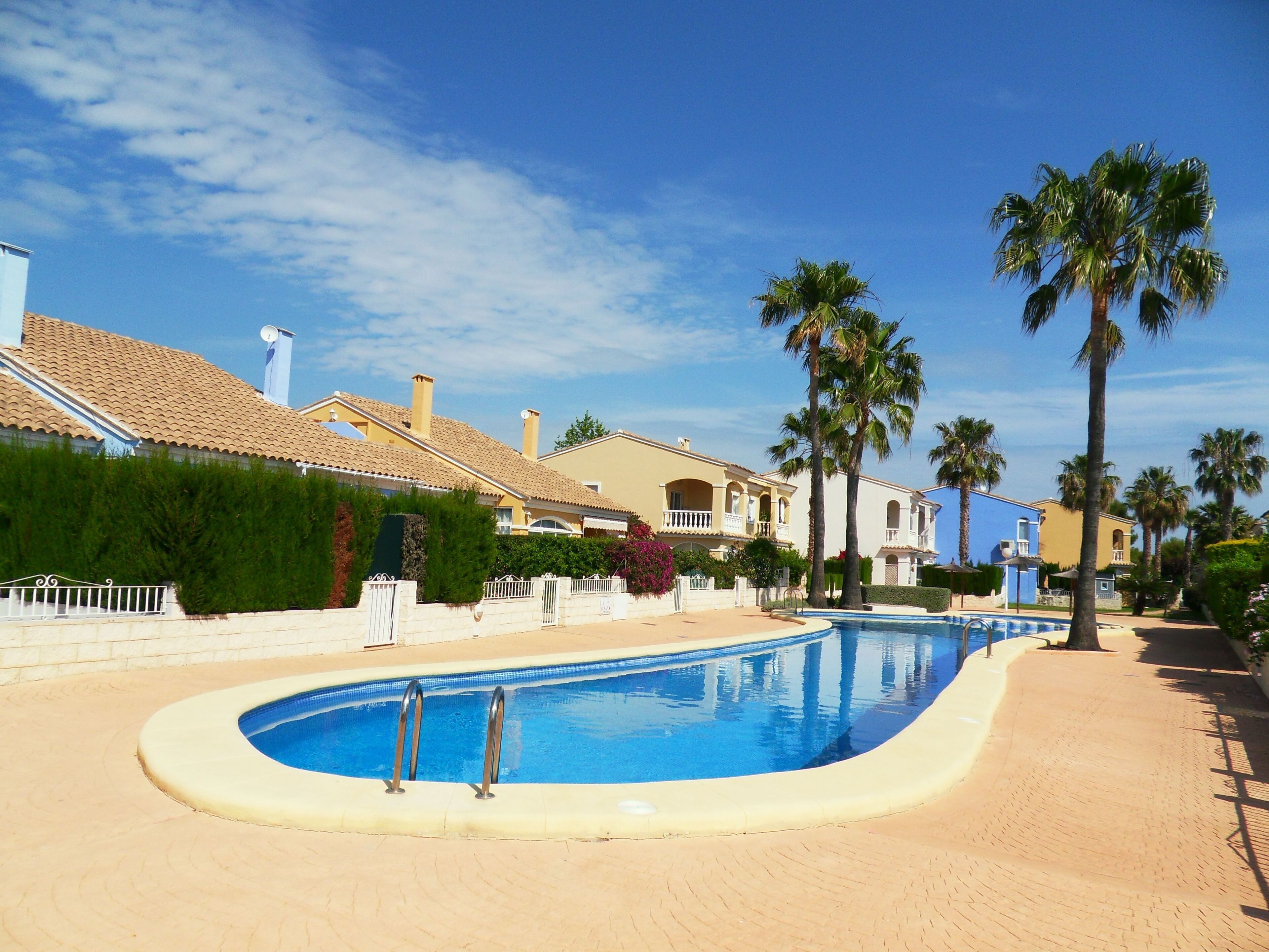 A swimming pool with a curved edge, surrounded by a paved walkway and palm trees.