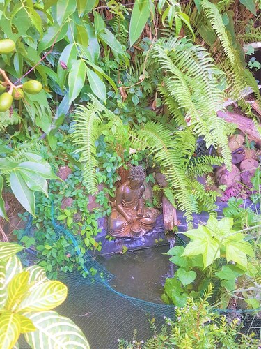 parte superior de la villa de 3 habitaciones 75 m² tranquilo, bien equipado, vista de la bahía de Robert