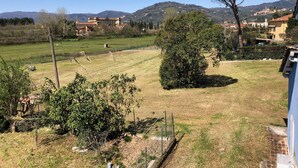 A rural landscape with a large tree, open fields, and distant buildings. - Bright country villa, with veranda, pool, garden, near Florence (Buggiano)