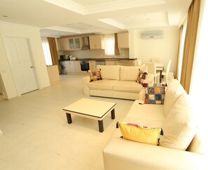 Télévision, cheminée, lecteur de DVD, livres