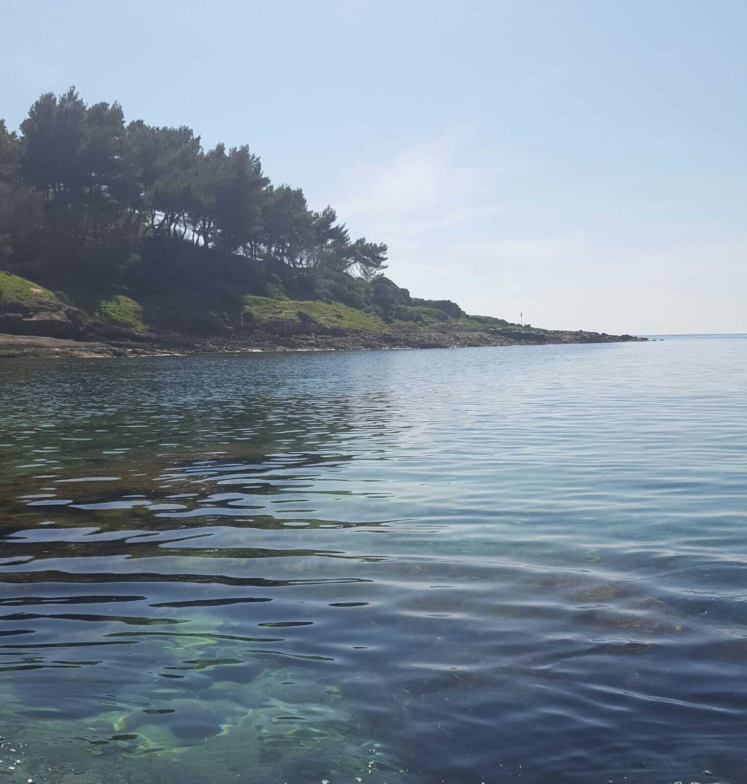 Un cos d'aigua tranquil·la amb bona visibilitat, envoltada per un paisatge natural amb arbres i una riba rocosa.