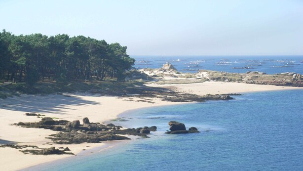 Un paisaje costero con una playa arenosa, afloramientos rocosos y una zona boscosa.
