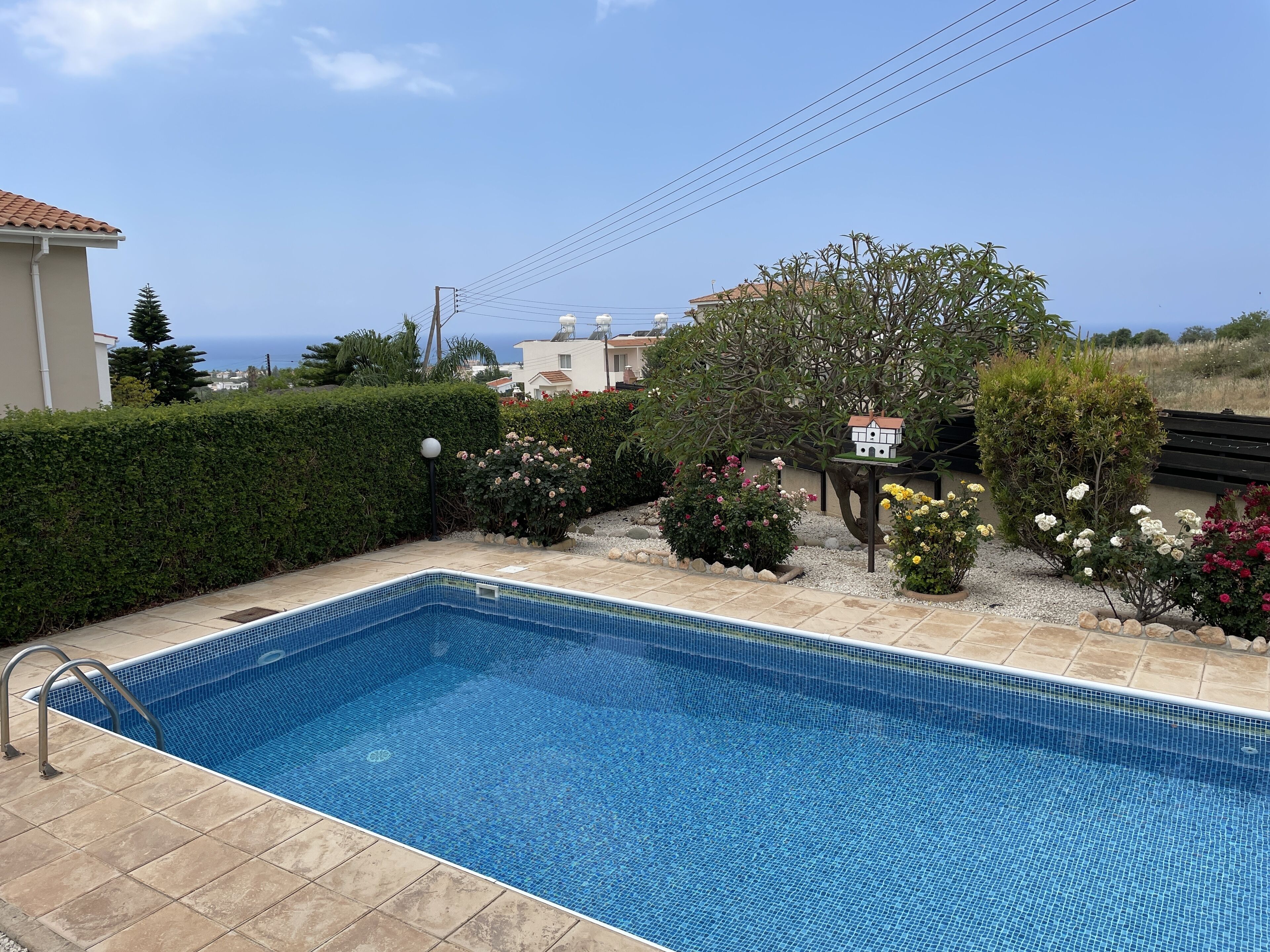 A rectangular swimming pool with a tiled edge, surrounded by a garden with various shrubs and flowers.