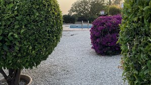 Ein Kiesweg führt zu einem Schwimmbecken, umgeben von ordentlich geschnittenen Büschen und Bäumen.