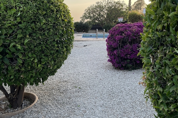 Professionally managed gardens.