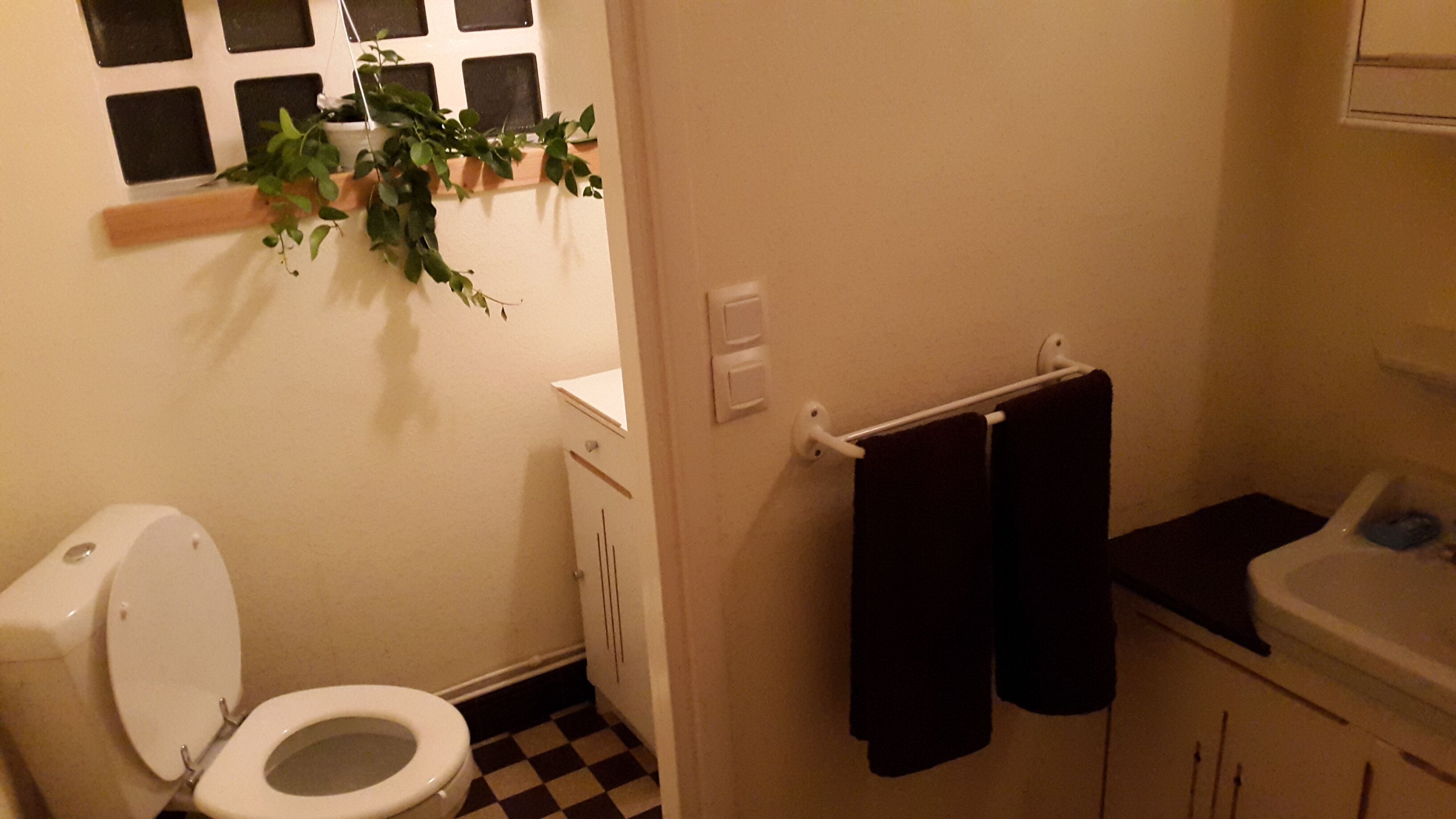 A small bathroom with a toilet, a sink, and a mirror. There is a plant hanging on the wall and a towel rack with two towels.